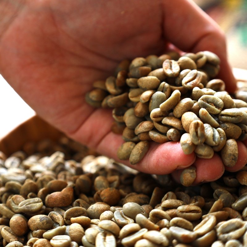 コーヒー豆の産地